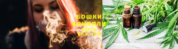 ГАЛЛЮЦИНОГЕННЫЕ ГРИБЫ Балабаново