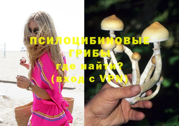 spice Баксан